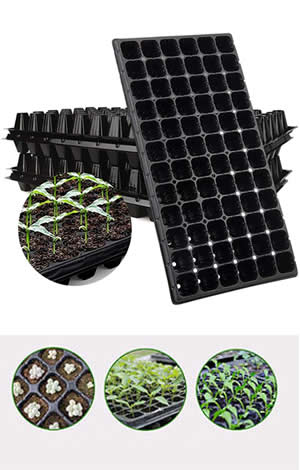 seedling tray