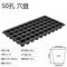 50 grid seedling tray, height 50mm, upper caliber 48×48mm 50 grid seedling tray, height 50mm, upper caliber 48×48mm