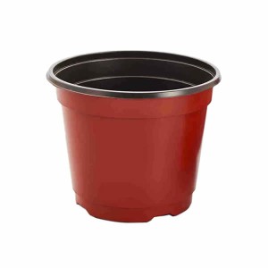 Bi-color Pots Bi-color Pots