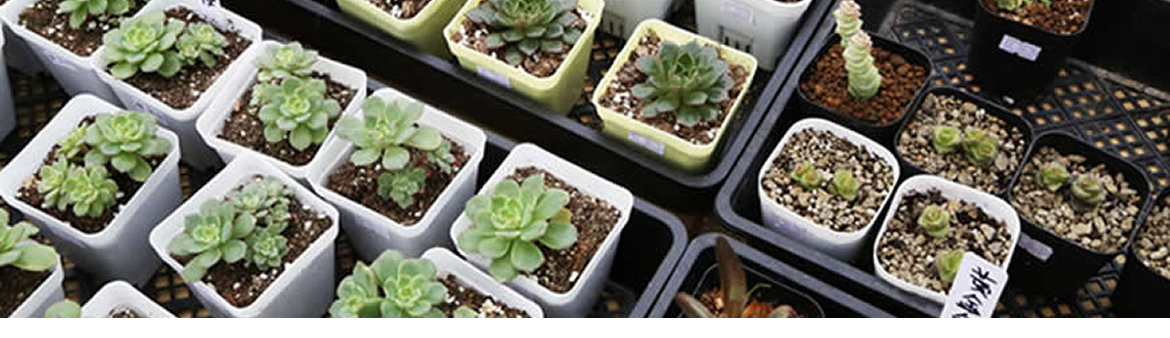 Home Page Slideshow 2
